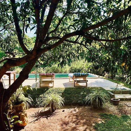 Shan Mango Homestay Sigiriya Exteriér fotografie