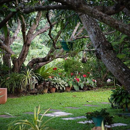 Shan Mango Homestay Sigiriya Exteriér fotografie