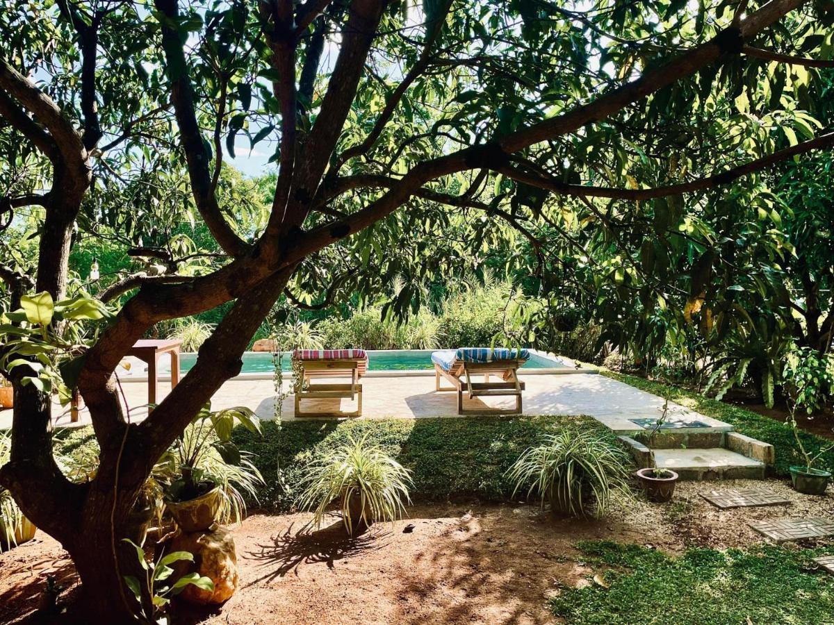 Shan Mango Homestay Sigiriya Exteriér fotografie