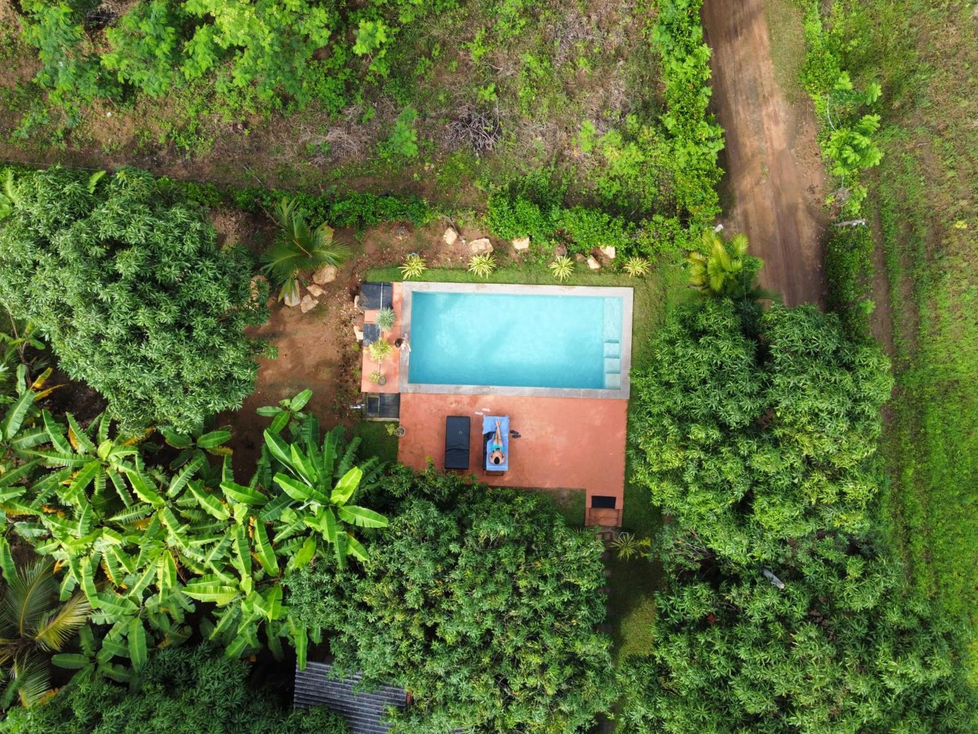 Shan Mango Homestay Sigiriya Exteriér fotografie