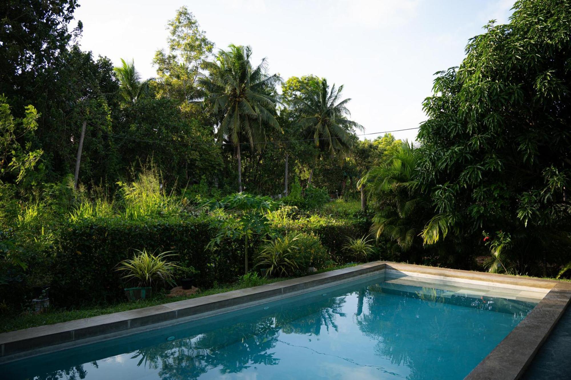 Shan Mango Homestay Sigiriya Exteriér fotografie